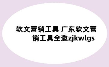 软文营销工具 广东软文营销工具全邀zjkwlgs